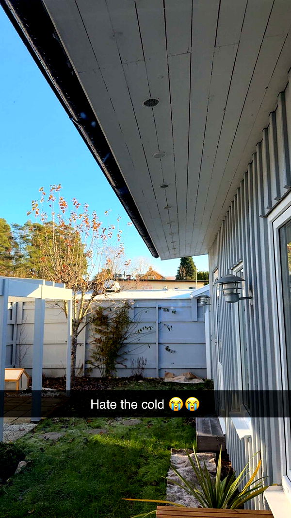 mathilda_bergs image ~ Altpins