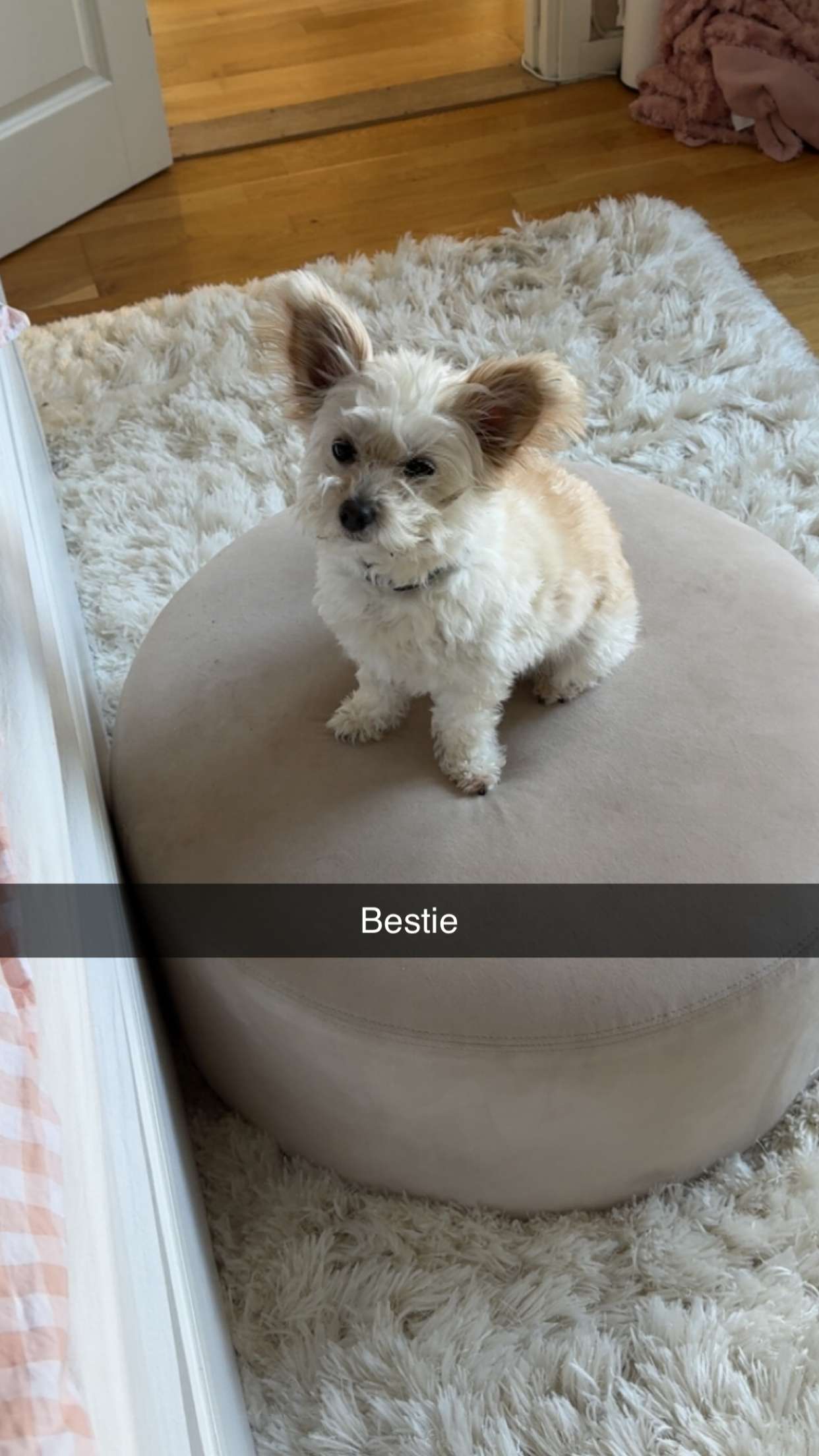 mathilda_bergs snapchat image archive image