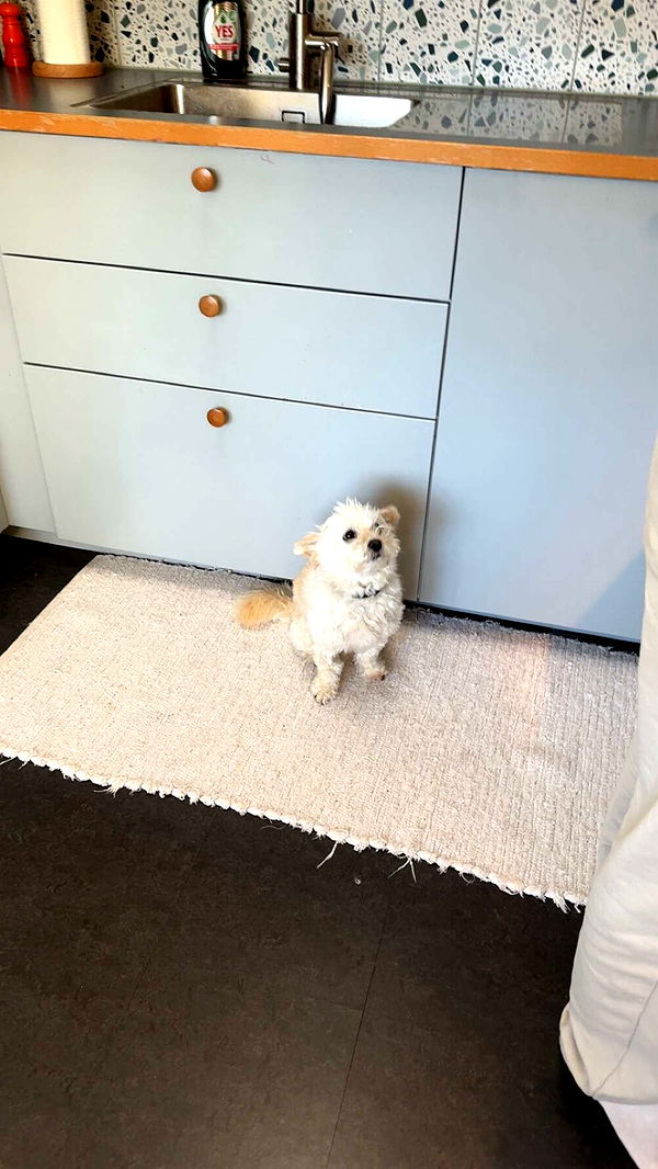 mathilda_bergs image ~ Altpins