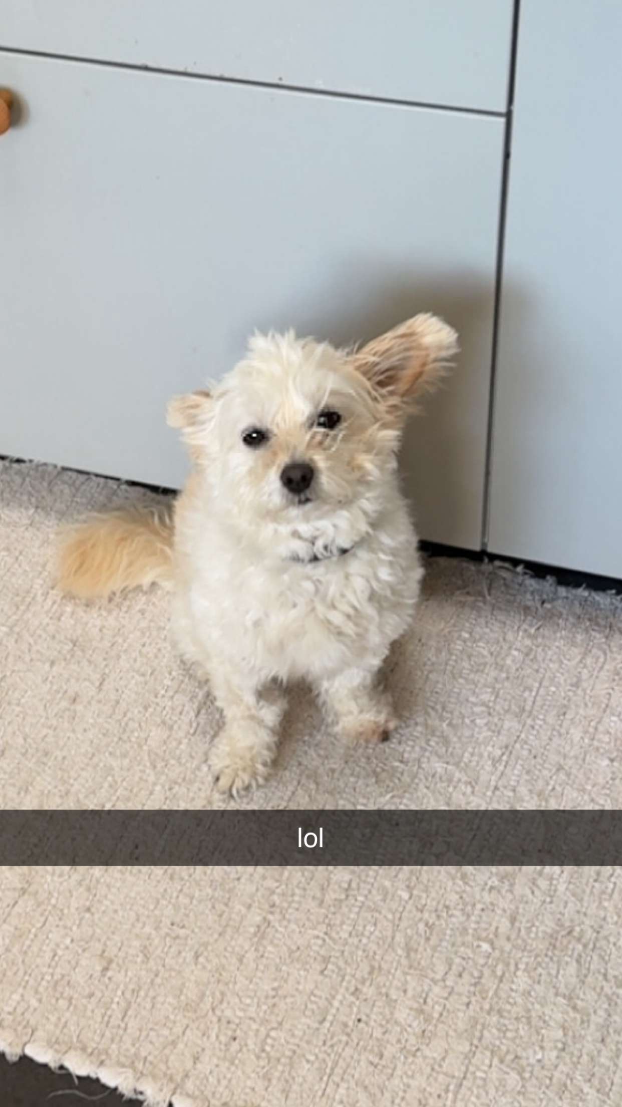 mathilda_bergs snapchat image archive image