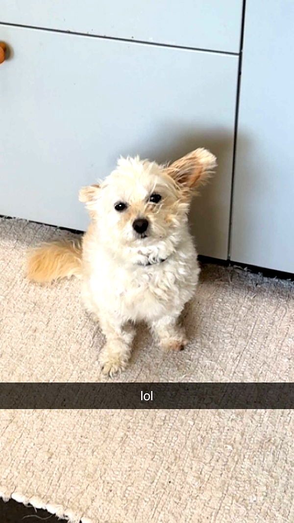 mathilda_bergs image ~ Altpins