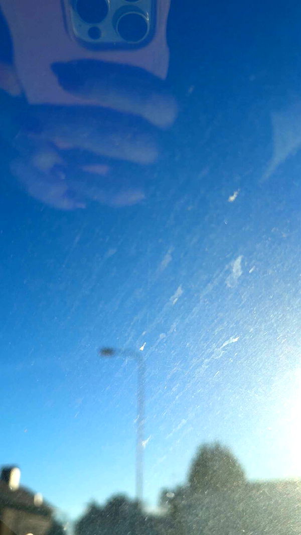 mathilda_bergs image ~ Altpins