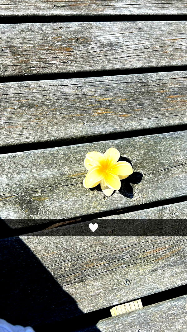 mathilda_bergs image ~ Altpins