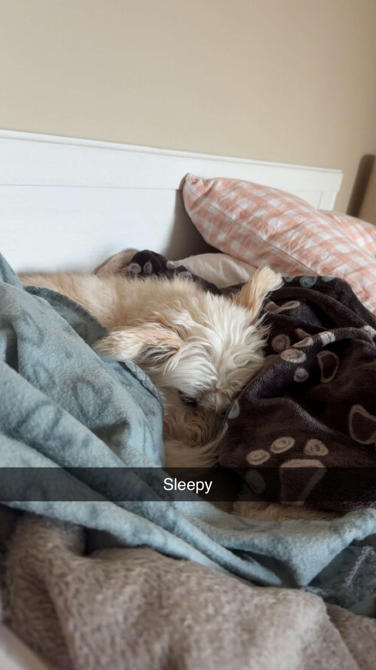 mathilda_bergs snapchat image archive image