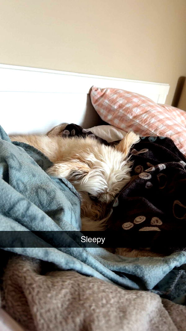 mathilda_bergs image ~ Altpins