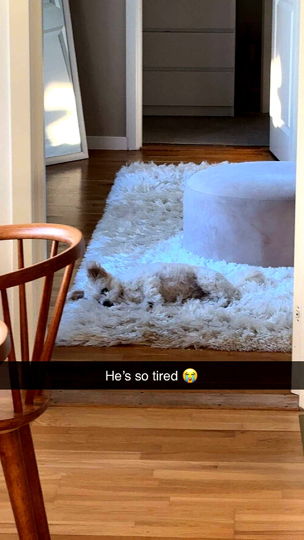 mathilda_bergs image ~ Altpins