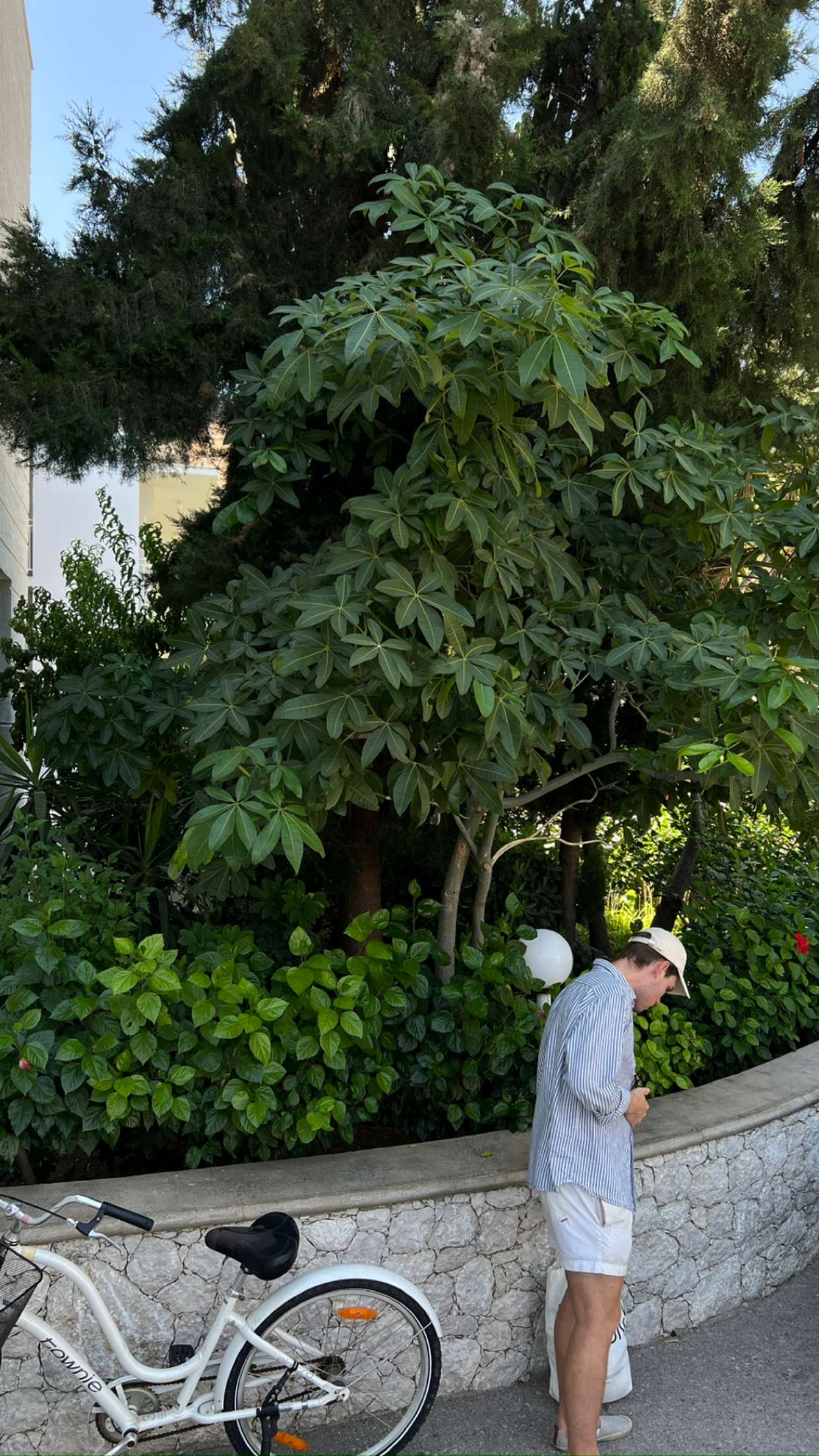 mathilda_bergs snapchat image archive image