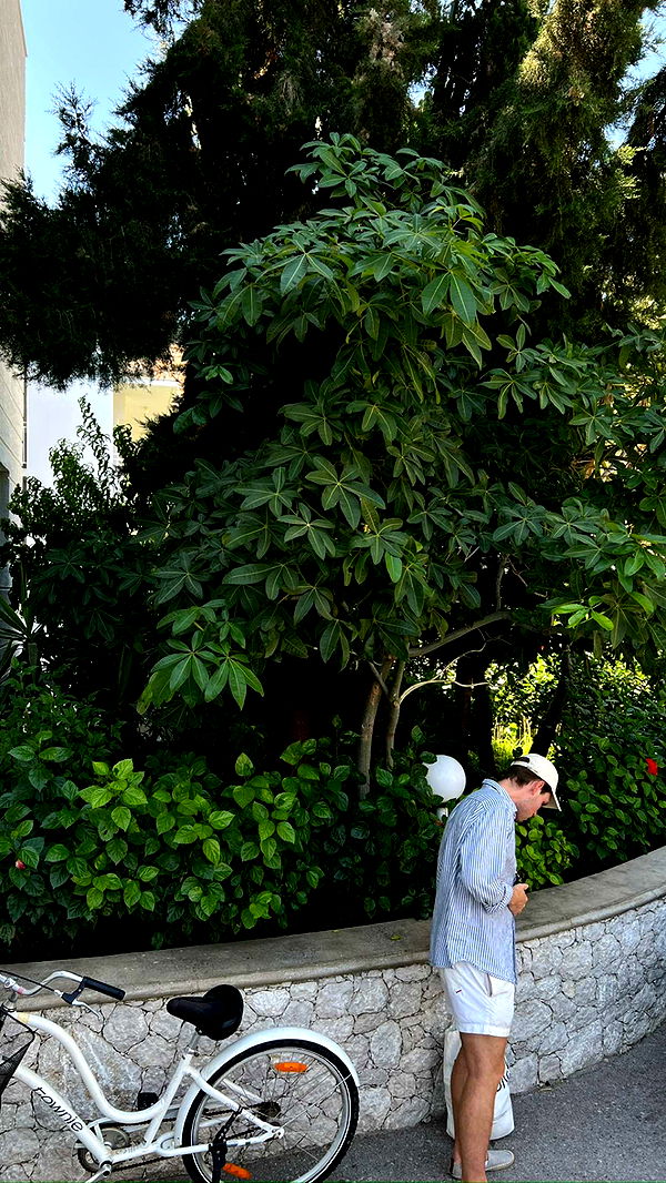 mathilda_bergs image ~ Altpins