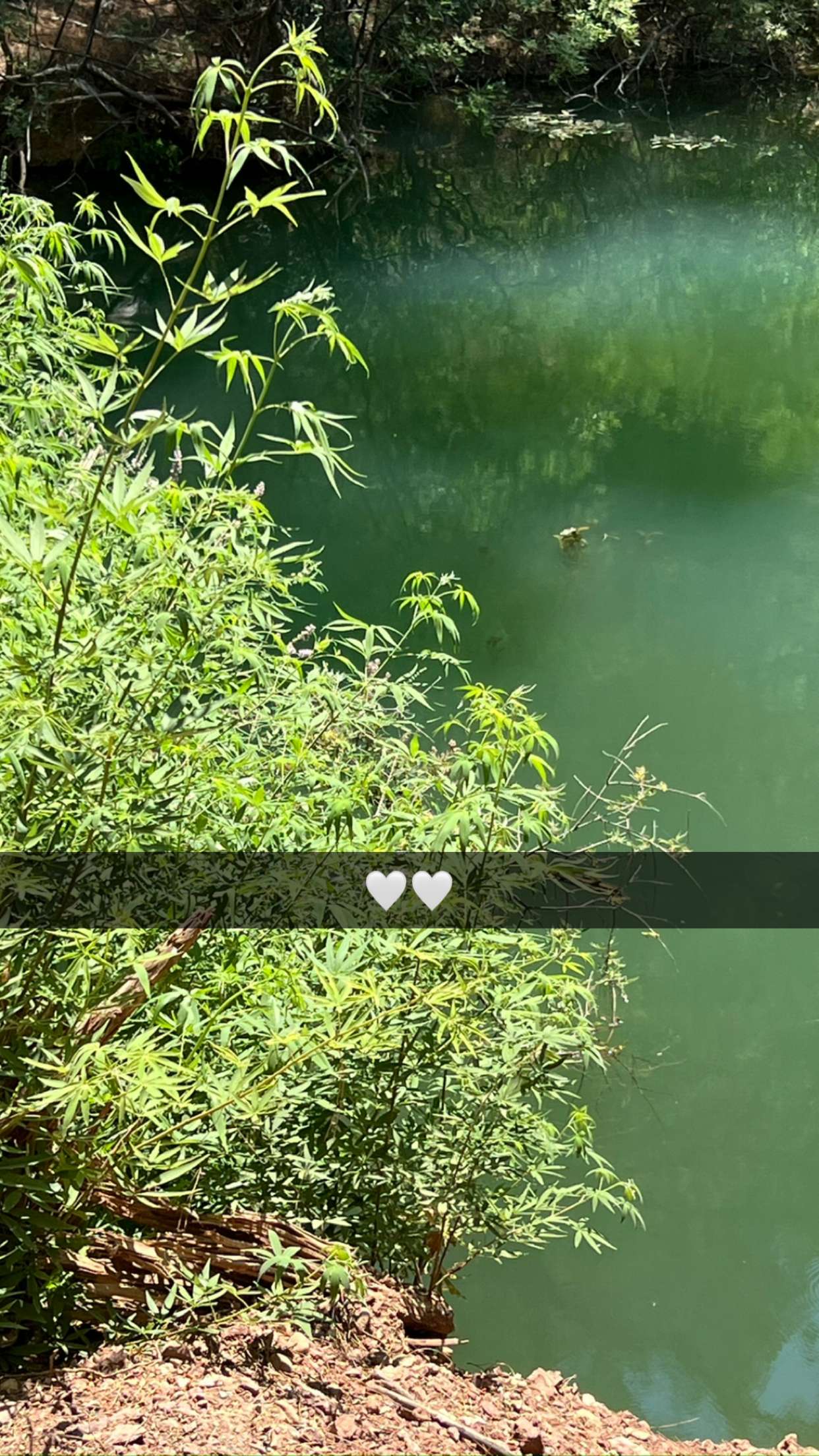 mathilda_bergs snapchat image archive image