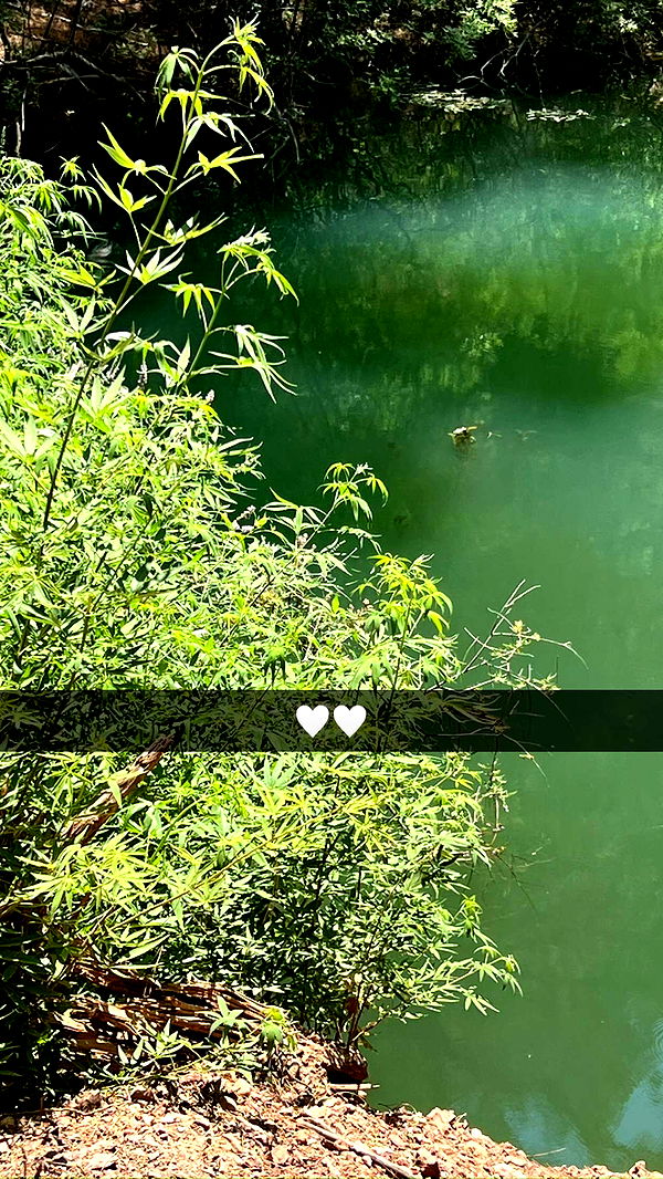 mathilda_bergs image ~ Altpins