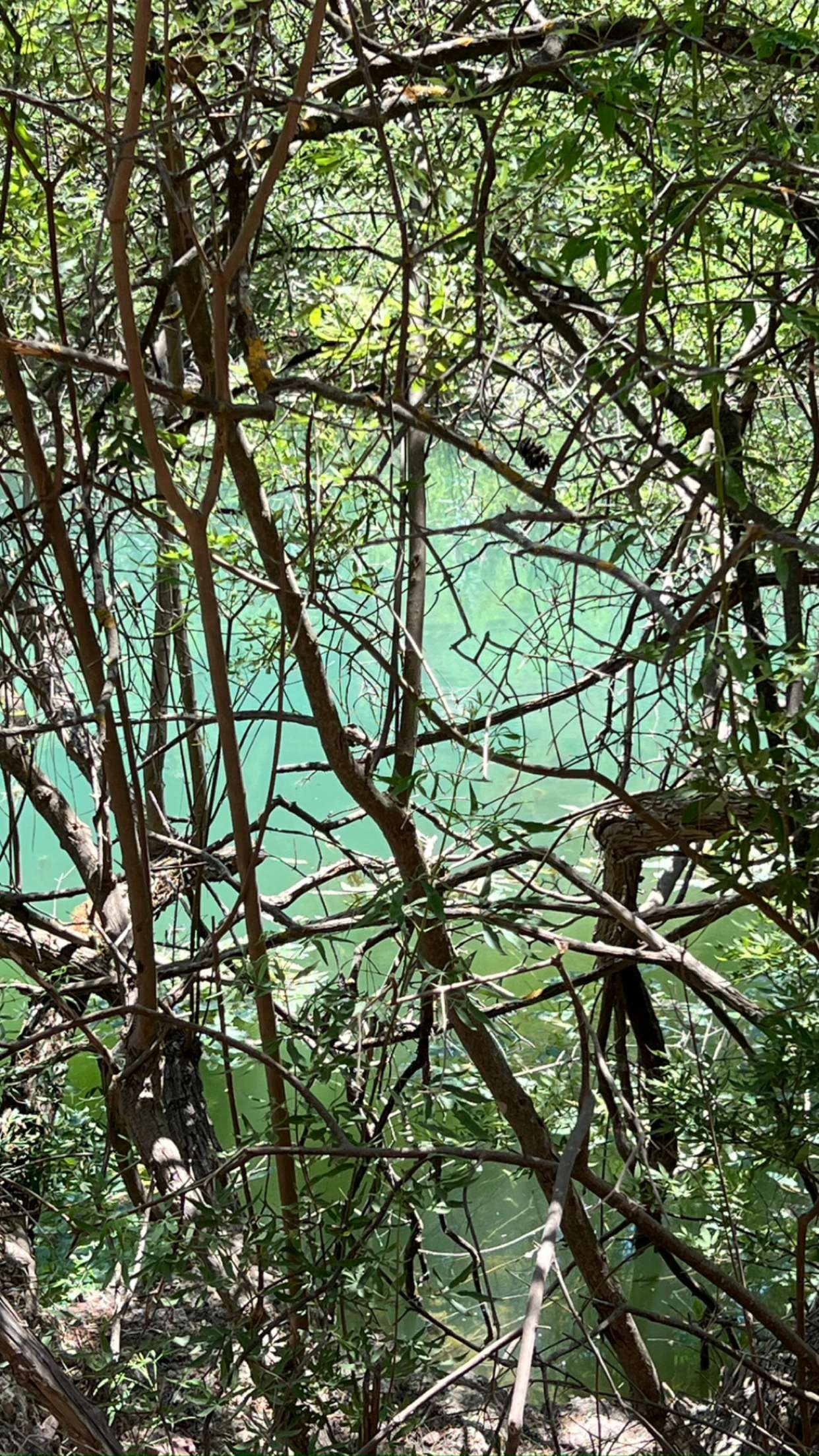 mathilda_bergs snapchat image archive image