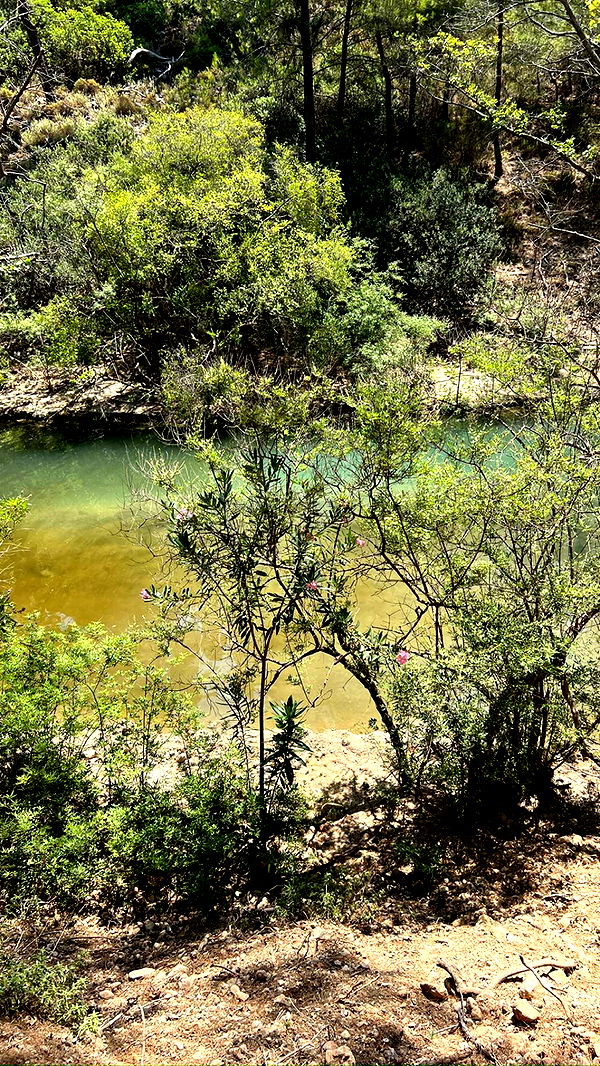 mathilda_bergs image ~ Altpins