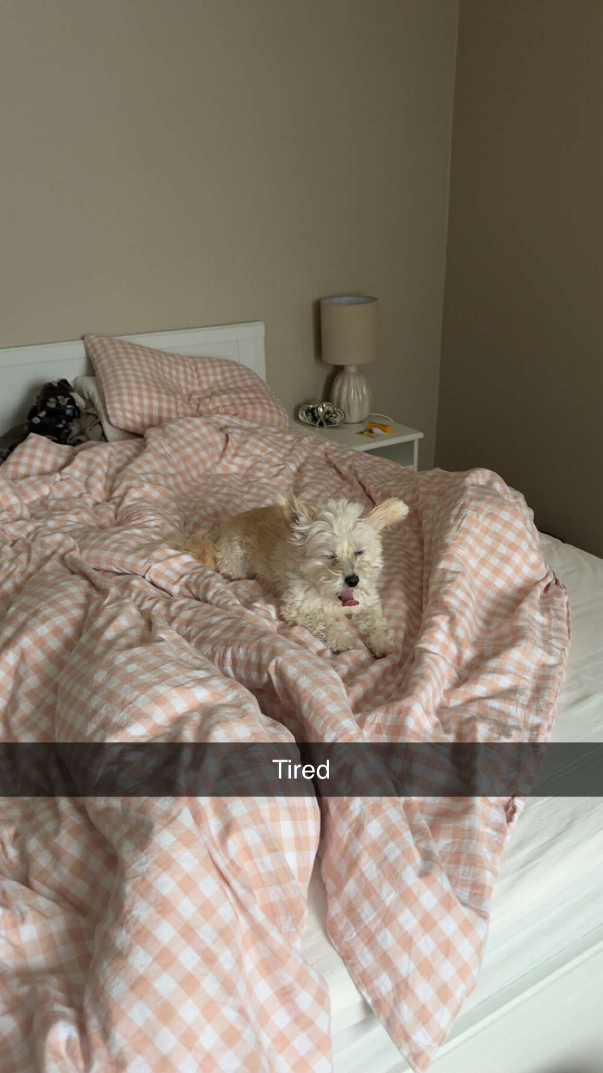 mathilda_bergs snapchat image archive image