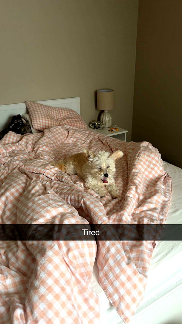 mathilda_bergs image ~ Altpins