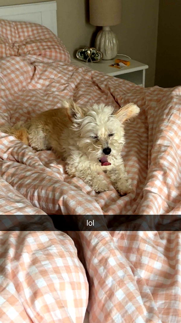 mathilda_bergs image ~ Altpins