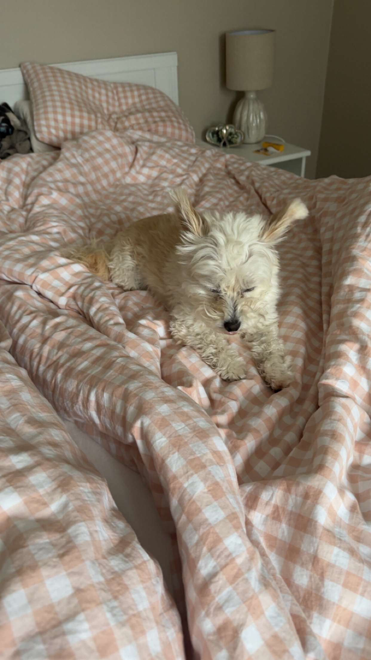 mathilda_bergs snapchat image archive image