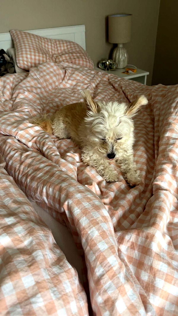 mathilda_bergs image ~ Altpins