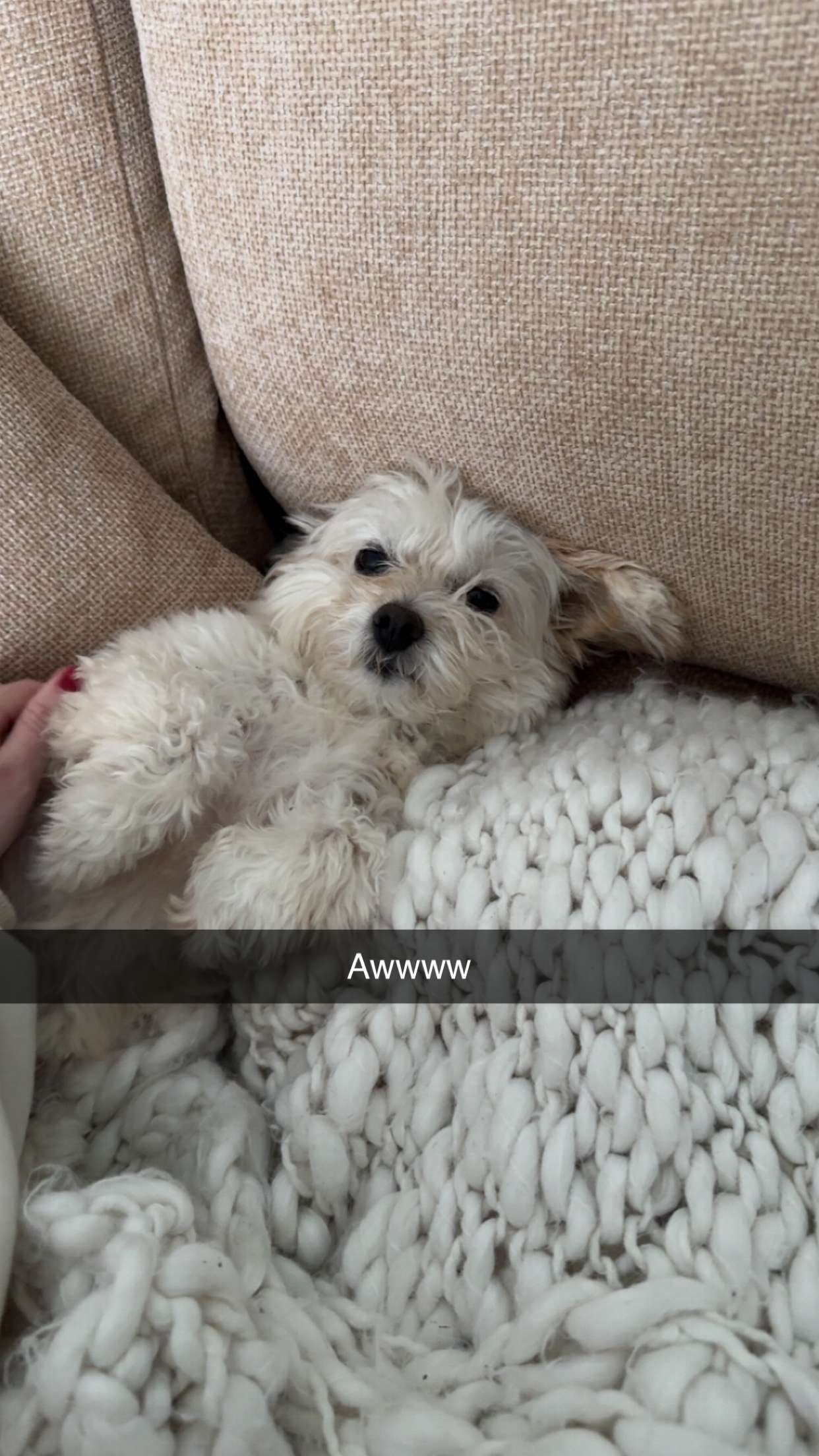 mathilda_bergs snapchat image archive image