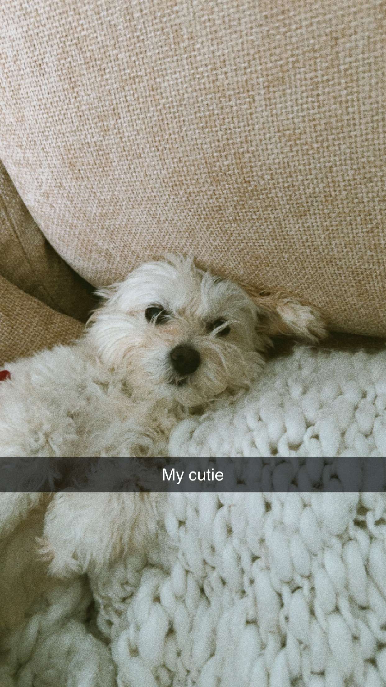 mathilda_bergs snapchat image archive image