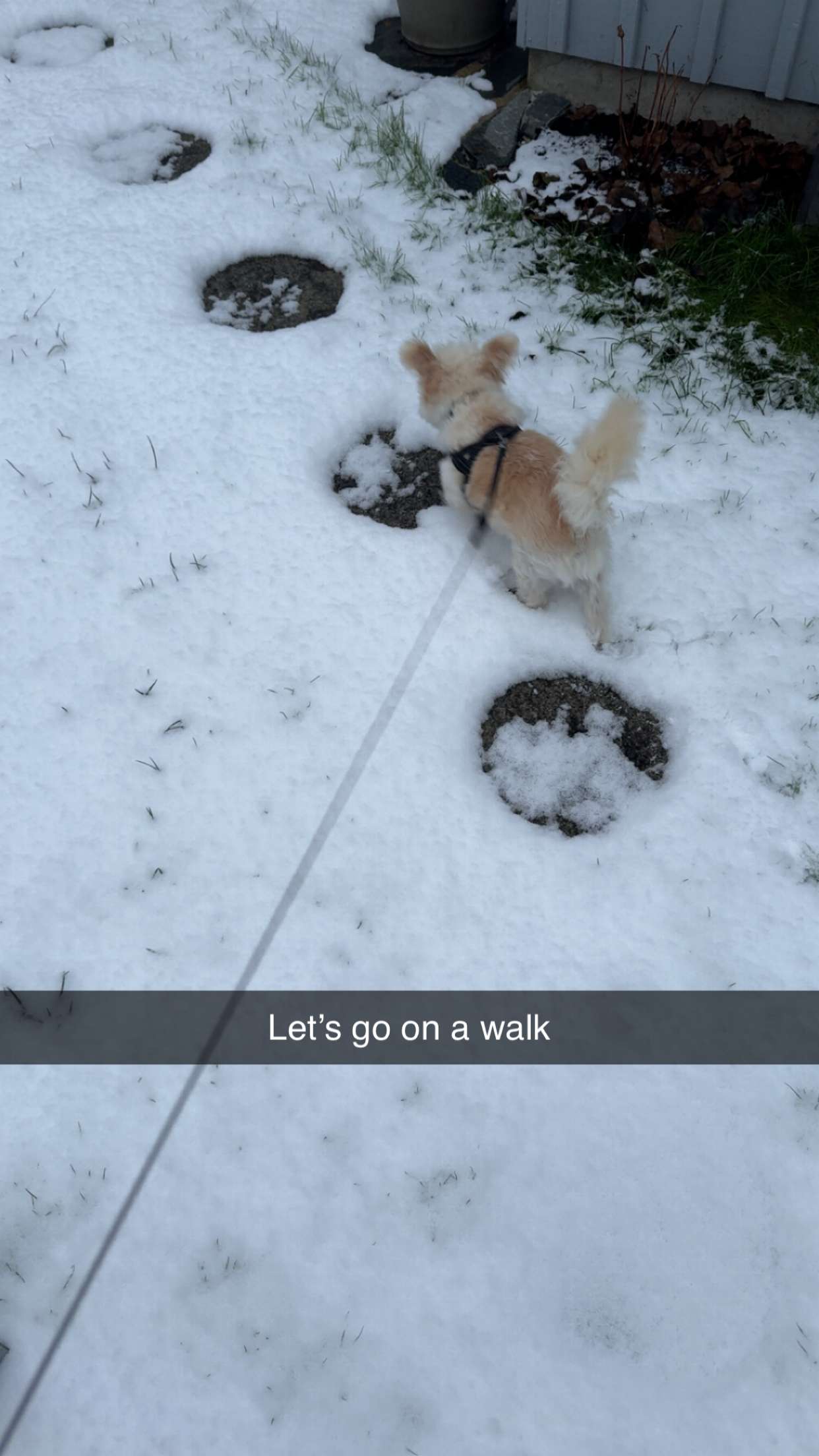 mathilda_bergs snapchat image archive image