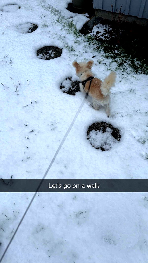 mathilda_bergs image ~ Altpins