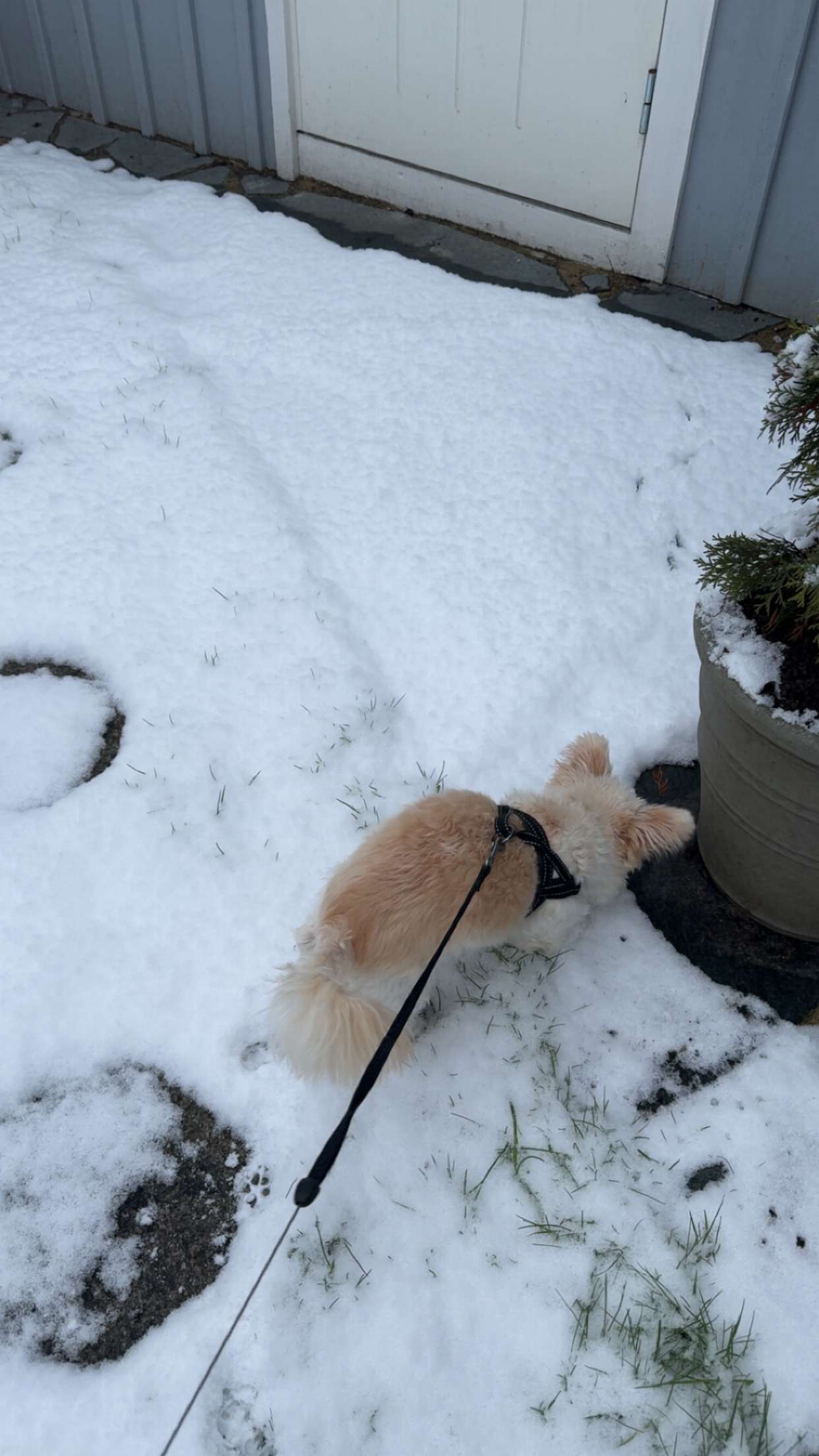 mathilda_bergs snapchat image archive image