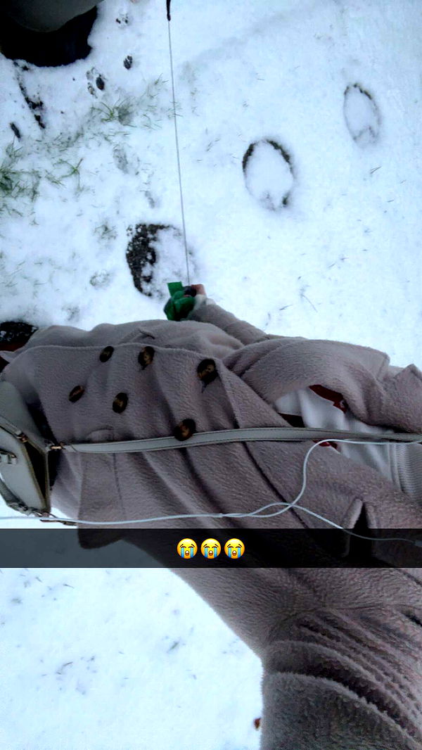 mathilda_bergs image ~ Altpins