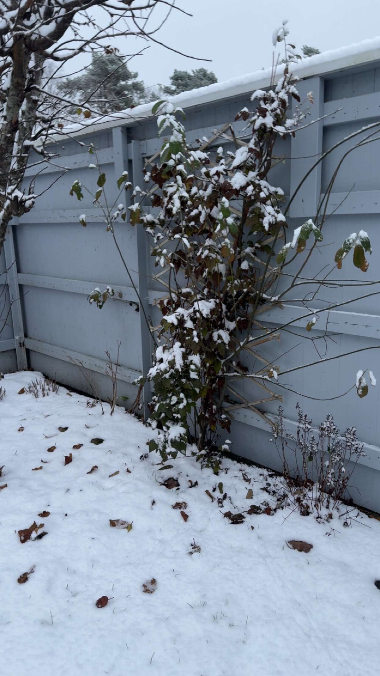 mathilda_bergs snapchat image archive image