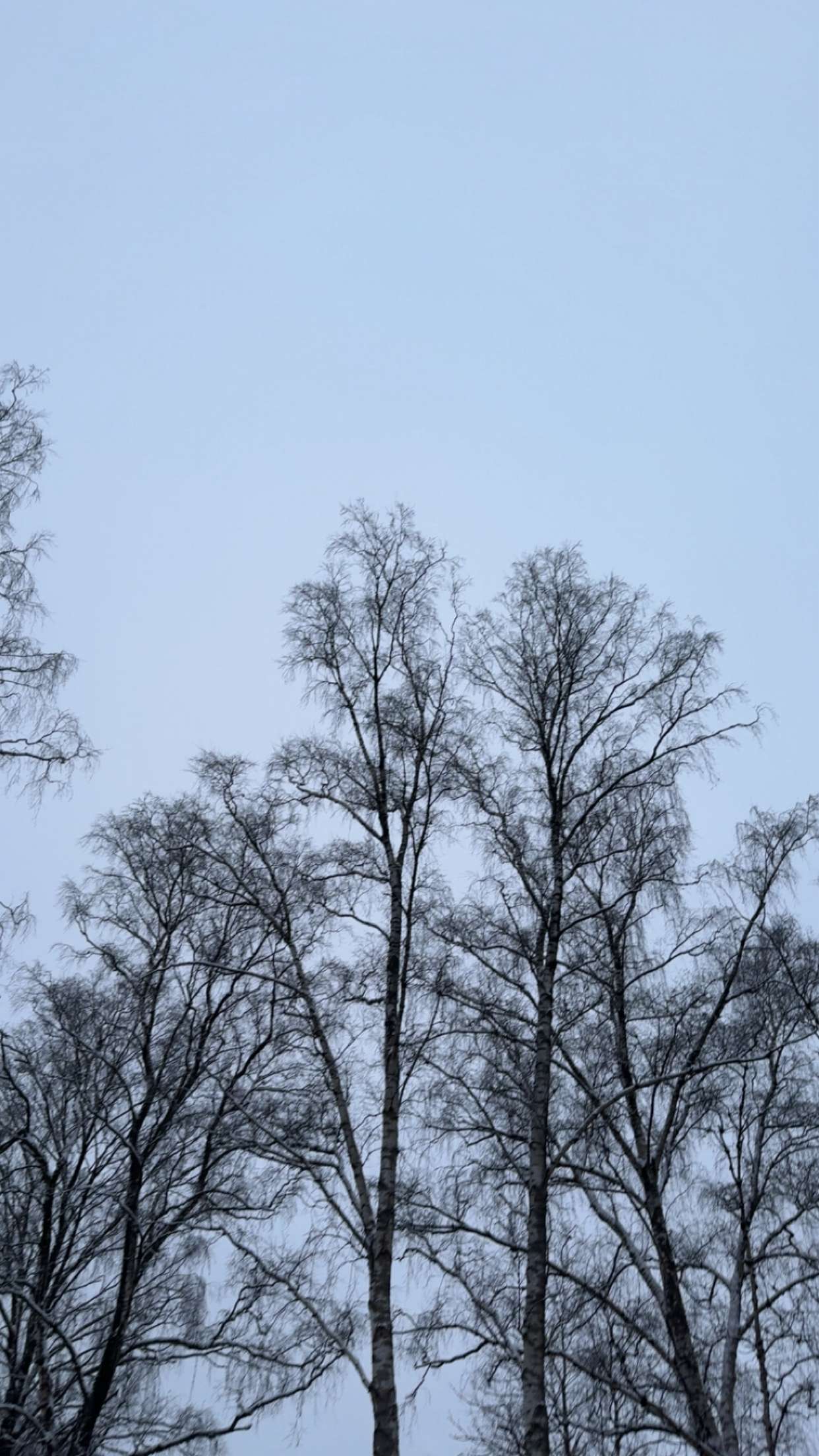 mathilda_bergs snapchat image archive image