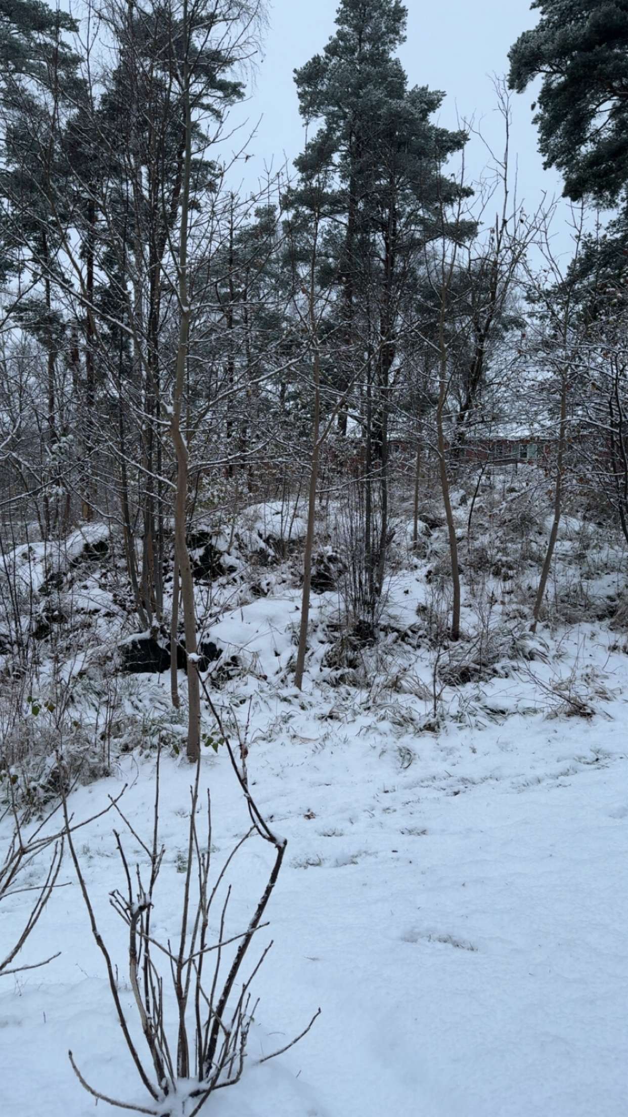 mathilda_bergs snapchat image archive image