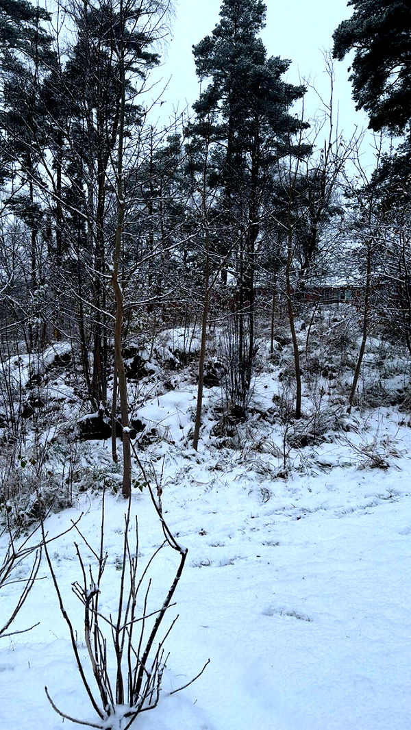 mathilda_bergs image ~ Altpins