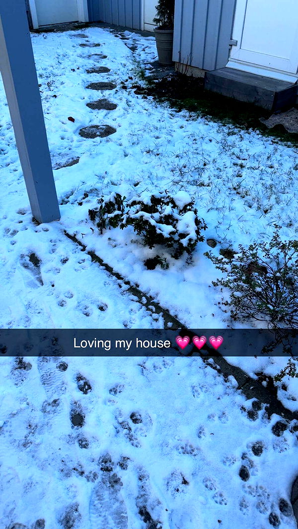 mathilda_bergs image ~ Altpins