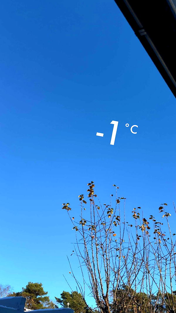 mathilda_bergs image ~ Altpins