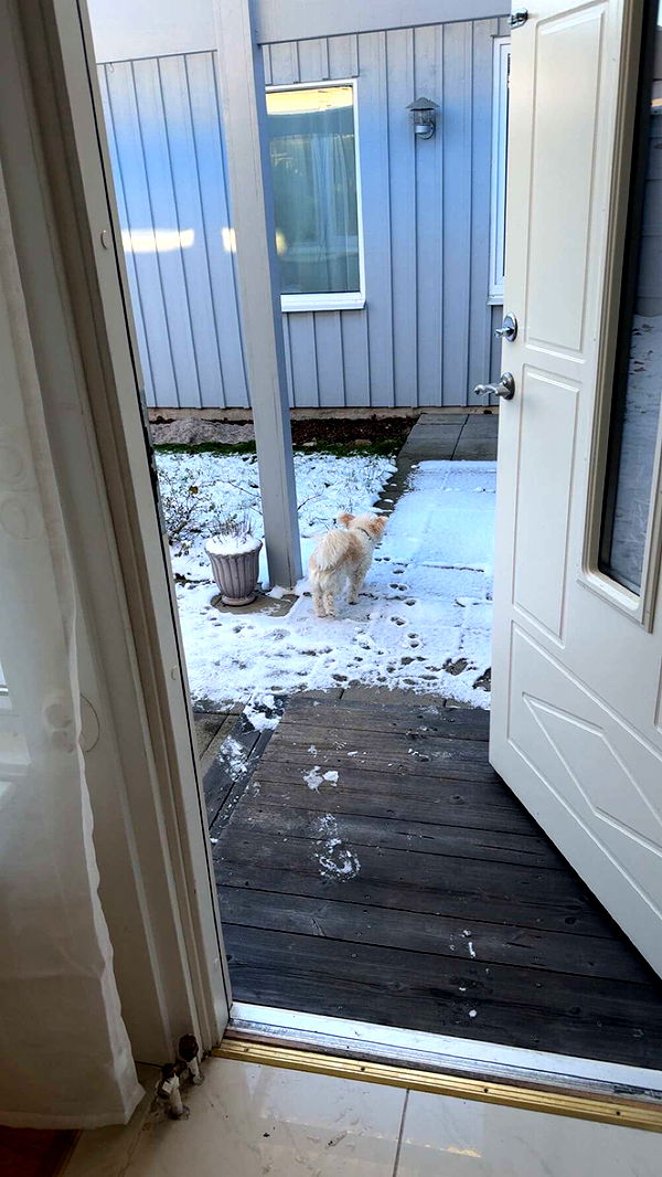 mathilda_bergs image ~ Altpins