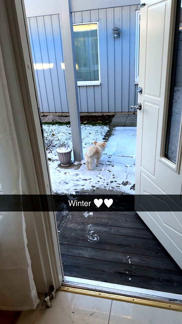 mathilda_bergs image ~ Altpins