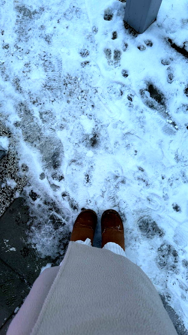 mathilda_bergs image ~ Altpins