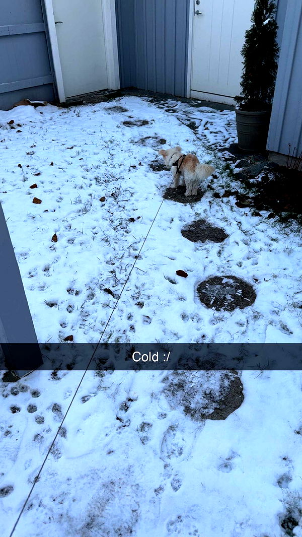 mathilda_bergs image ~ Altpins