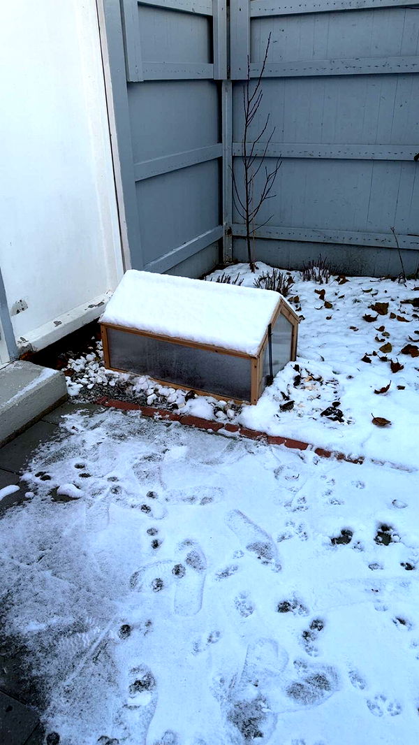 mathilda_bergs image ~ Altpins