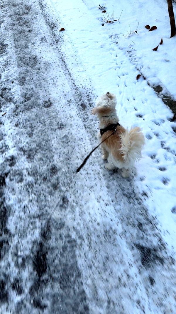 mathilda_bergs image ~ Altpins