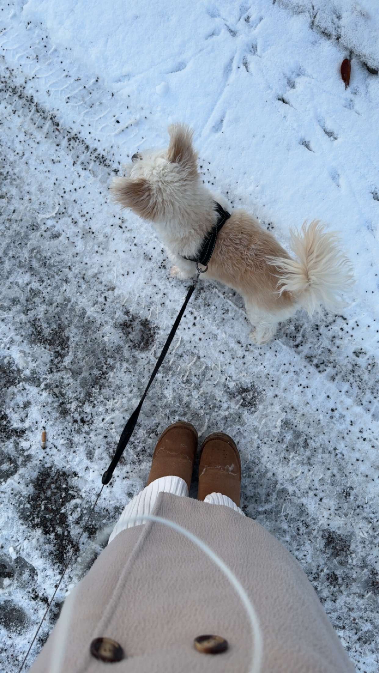 mathilda_bergs snapchat image archive image