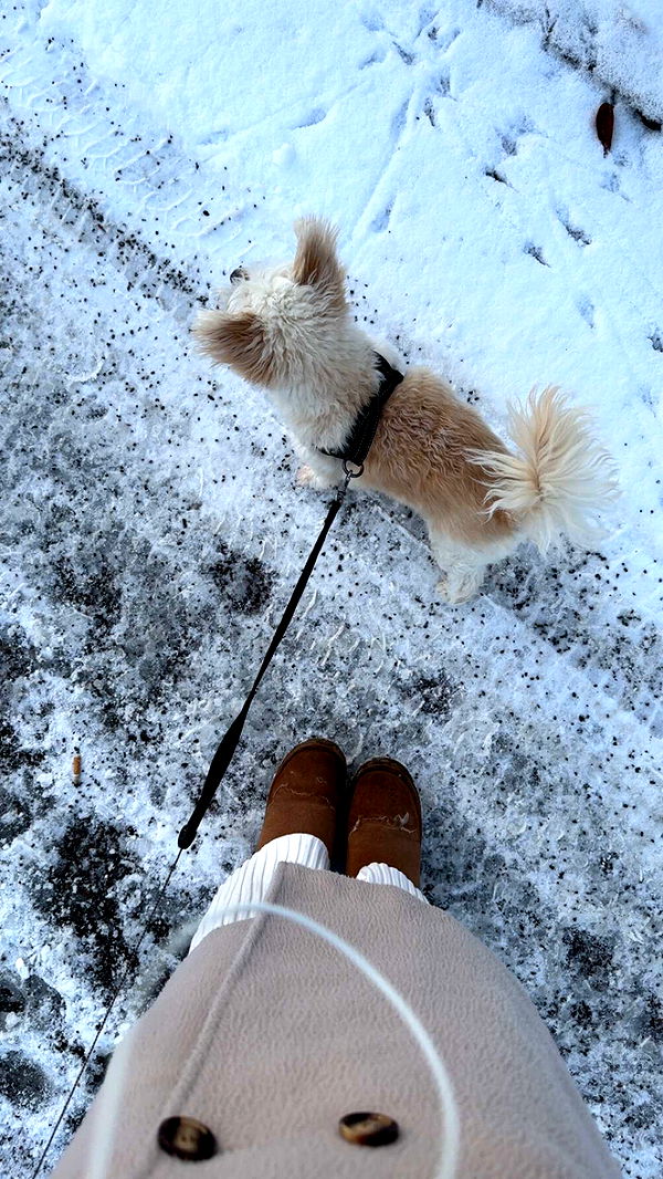 mathilda_bergs image ~ Altpins