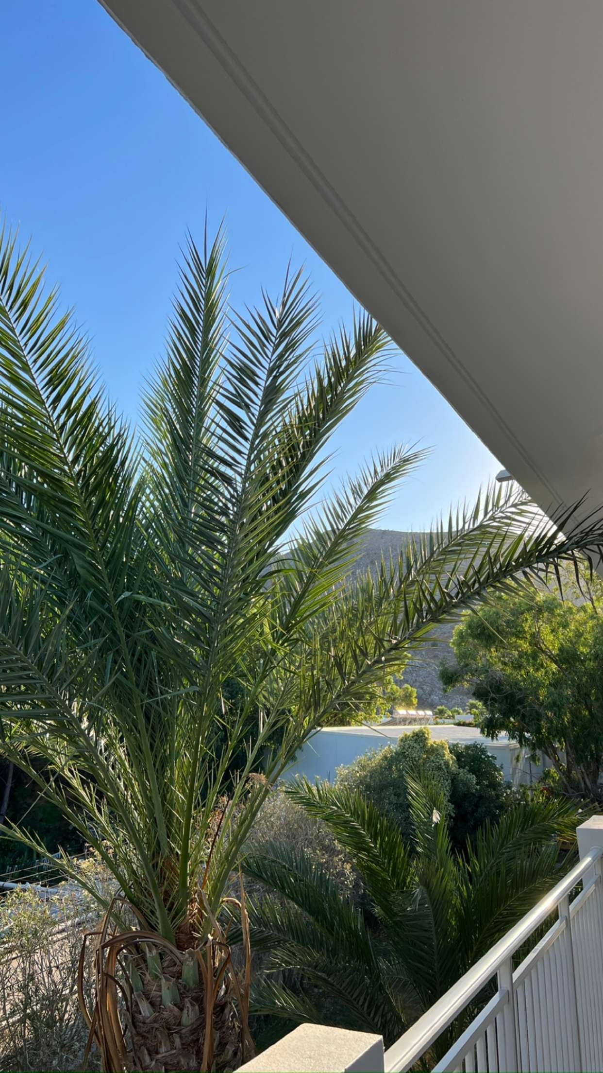 mathilda_bergs snapchat image archive image