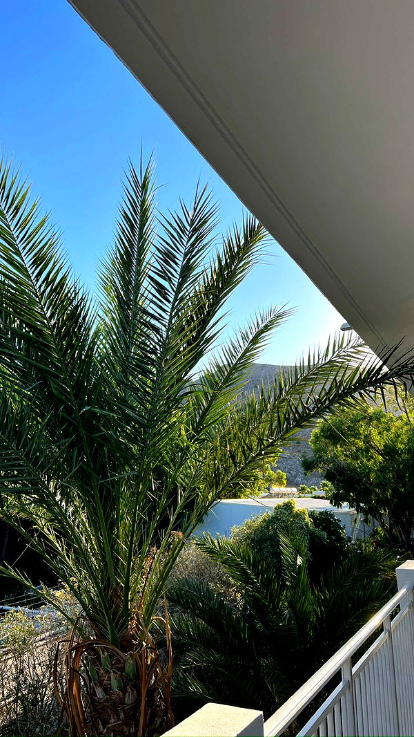 mathilda_bergs image ~ Altpins