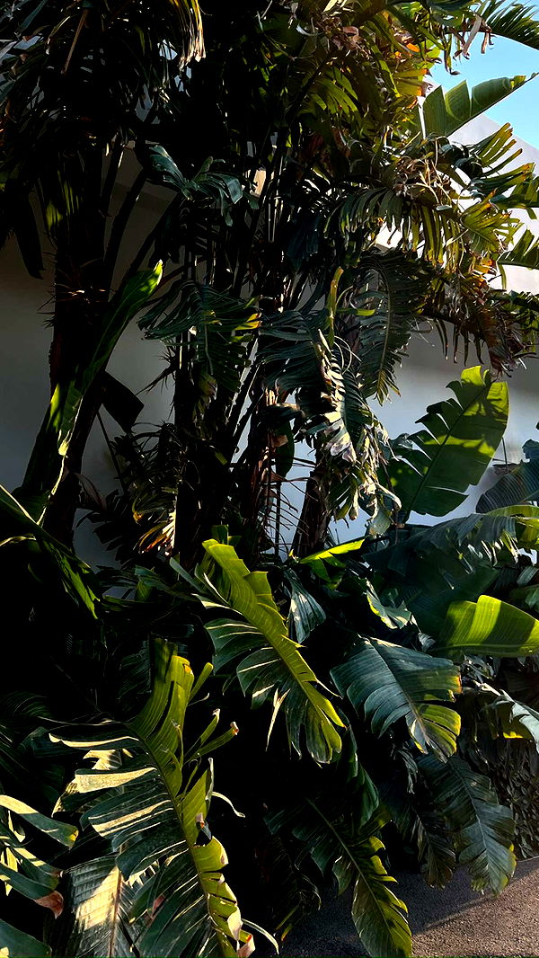 mathilda_bergs image ~ Altpins