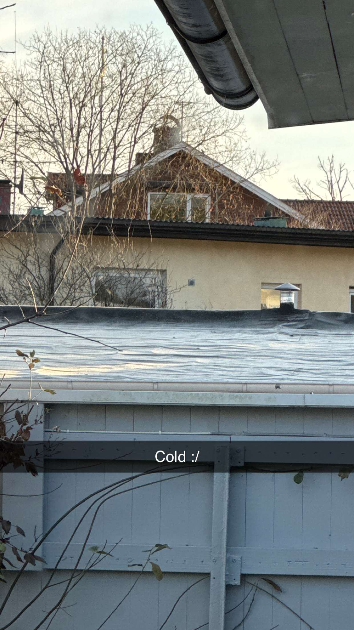 mathilda_bergs snapchat image archive image