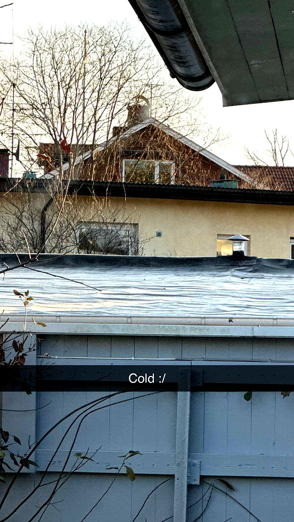 mathilda_bergs image ~ Altpins