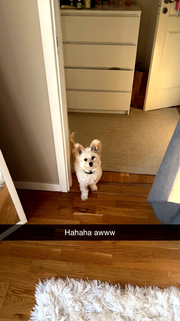 mathilda_bergs image ~ Altpins