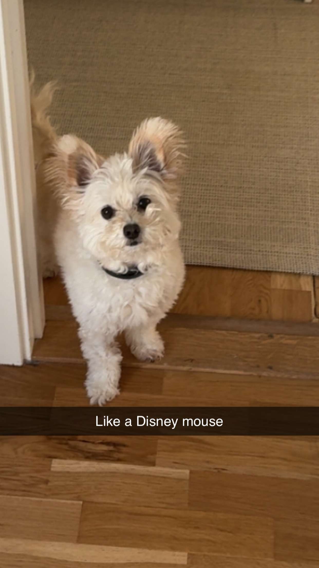 mathilda_bergs snapchat image archive image