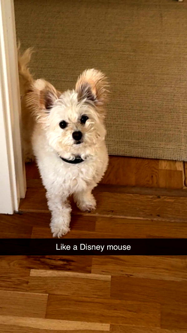 mathilda_bergs image ~ Altpins