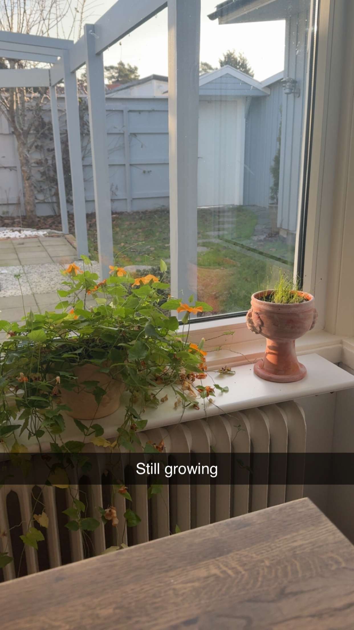 mathilda_bergs snapchat image archive image